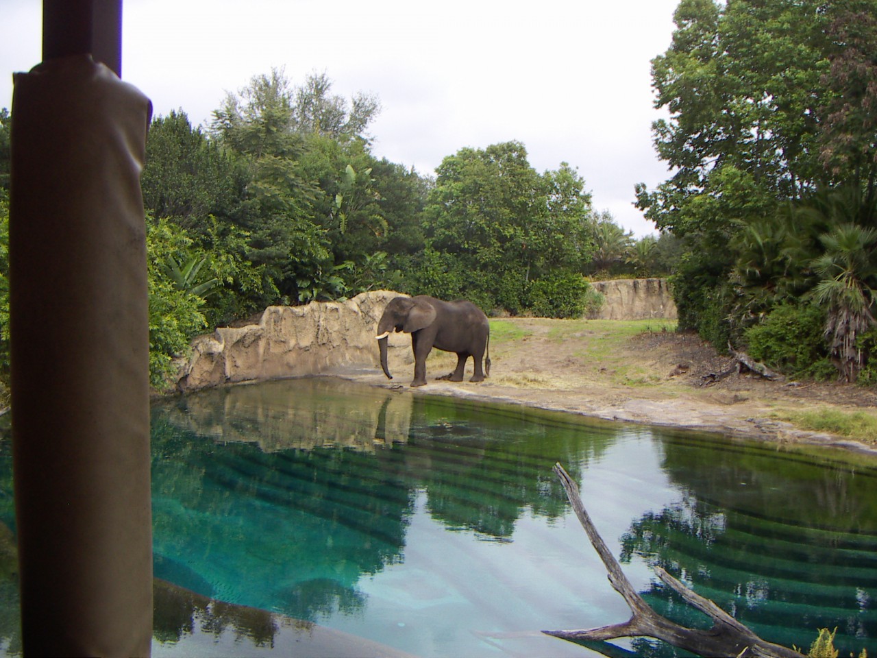 PICT0369.JPG