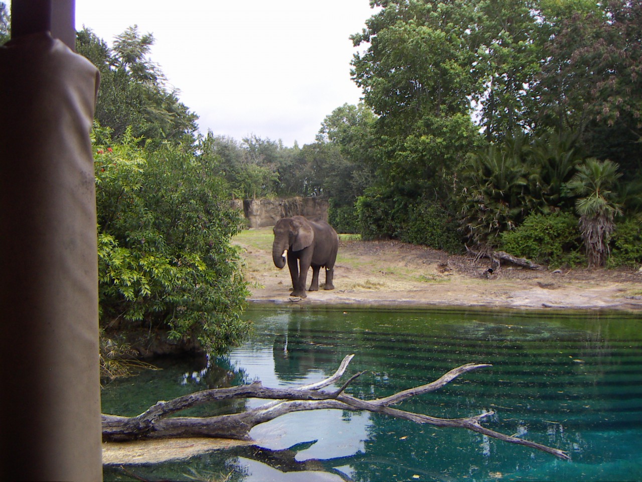 PICT0373.JPG