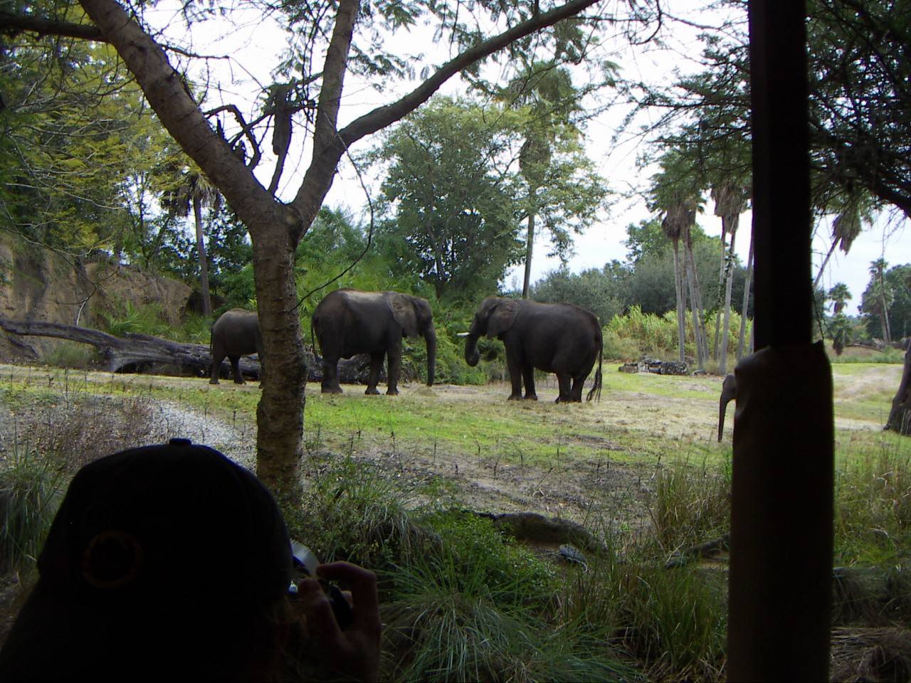 PICT0376.JPG