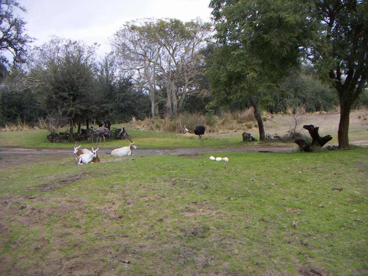PICT0397.JPG