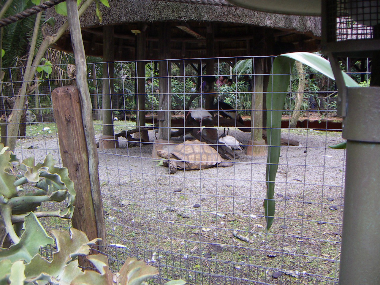 PICT0400.JPG