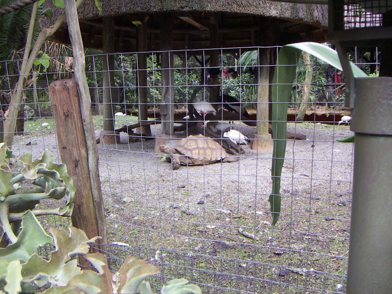 PICT0402.JPG