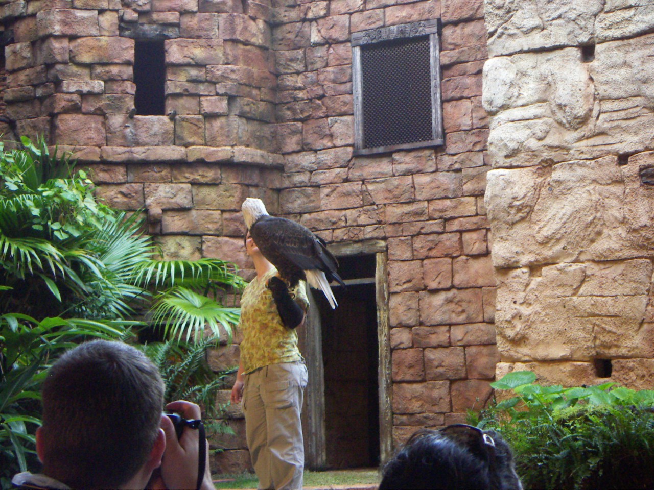 PICT0455.JPG
