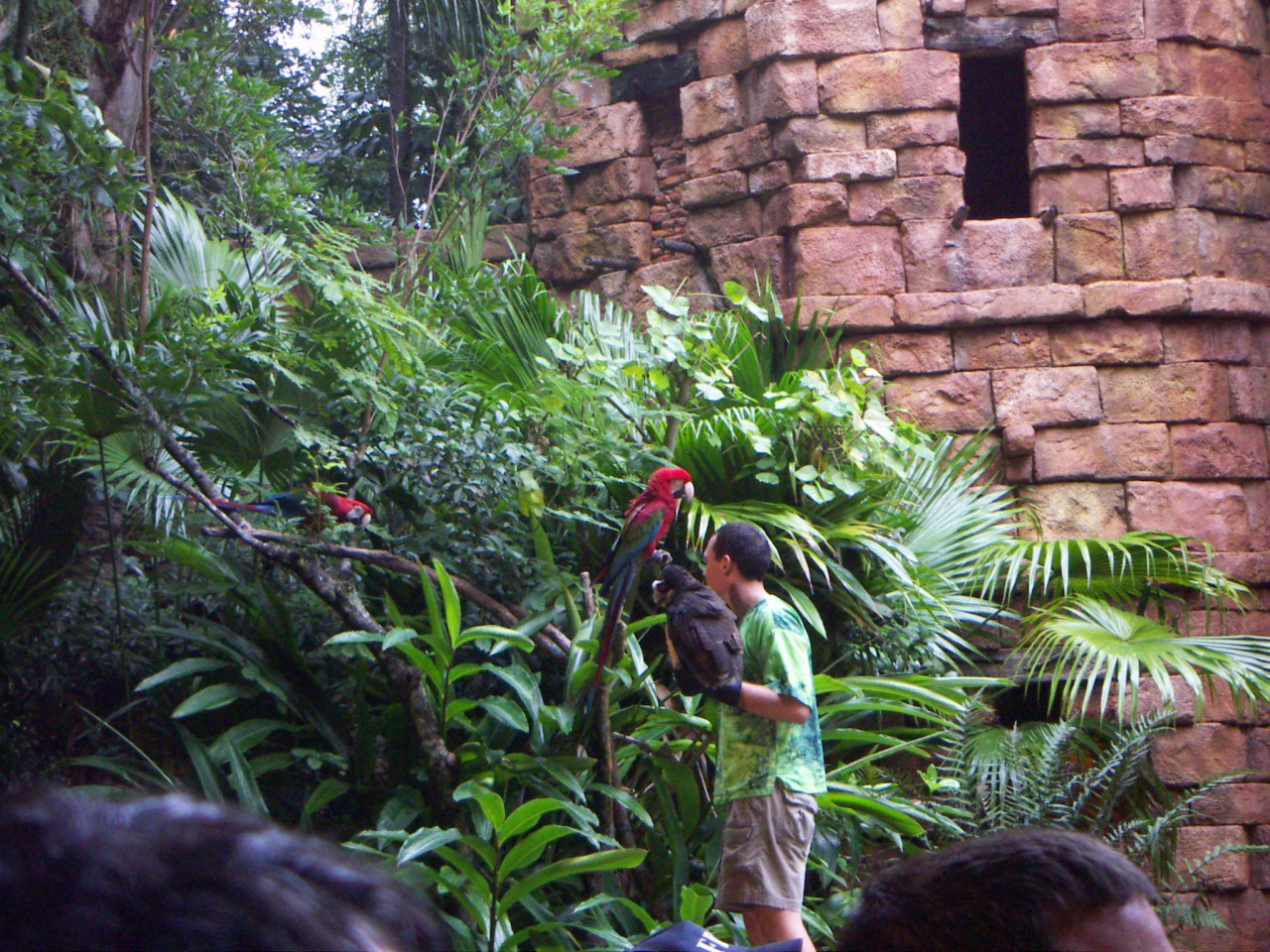 PICT0460.JPG