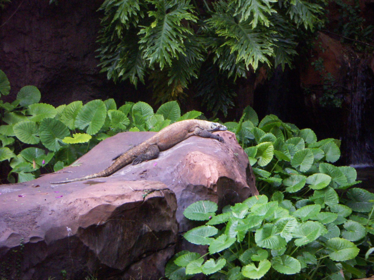 PICT0461.JPG