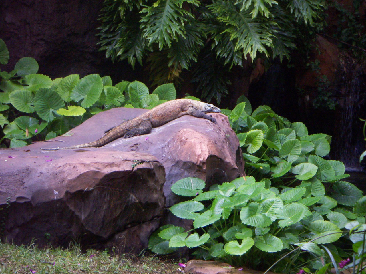 PICT0462.JPG
