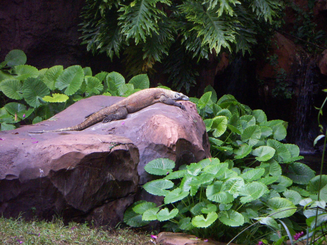 PICT0463.JPG