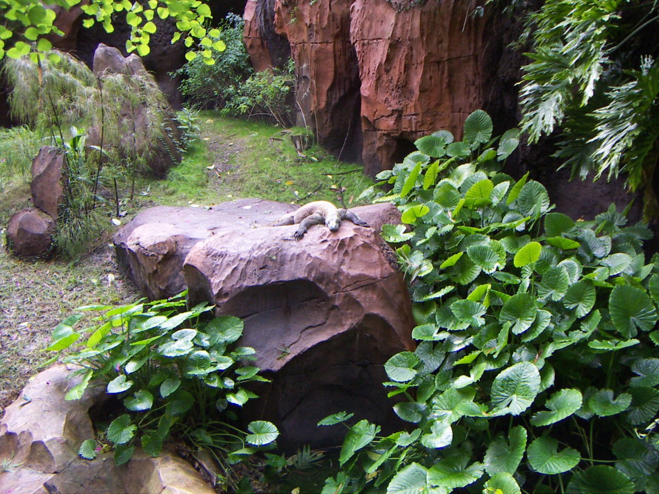 PICT0464.JPG