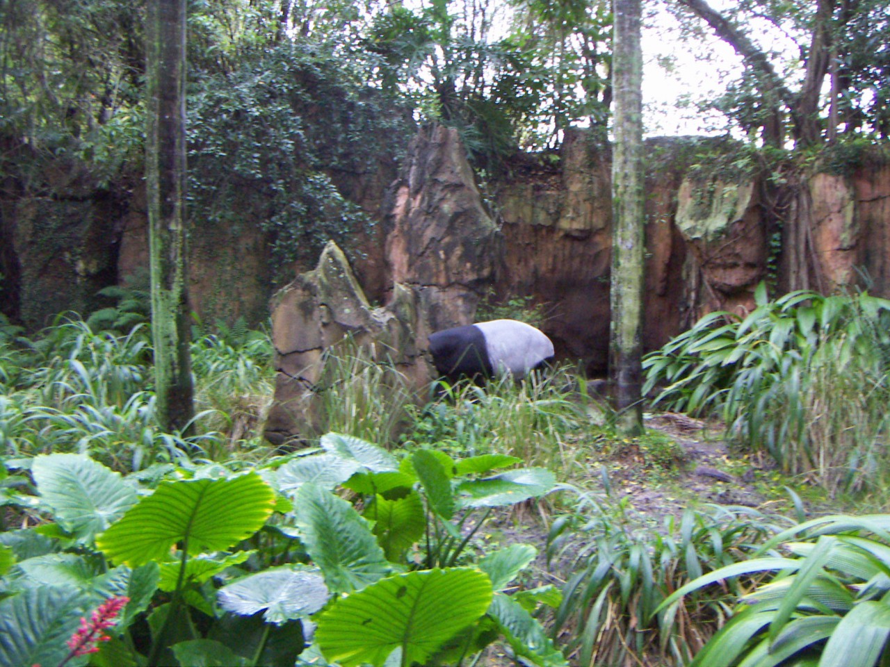 PICT0466.JPG