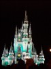 PICT0061.JPG