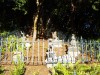 PICT0119.JPG