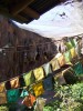 PICT0213.JPG