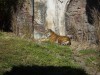 PICT0222.JPG