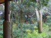 PICT0331.JPG