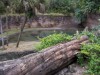 PICT0335.JPG