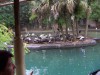 PICT0341.JPG
