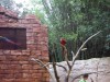 PICT0458.JPG