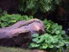 PICT0462.JPG