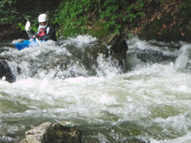 P5161594.JPG