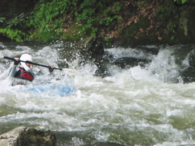 P5161604.JPG