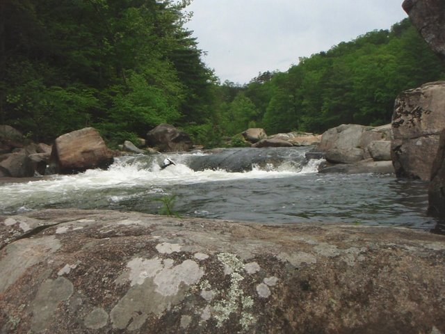 P5091107.JPG