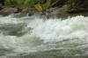 DSC_9308.JPG