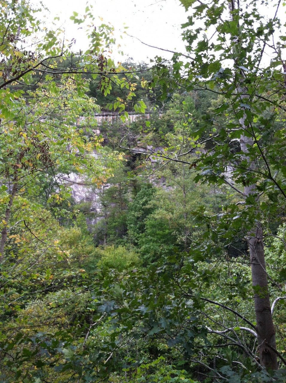 photo13.JPG