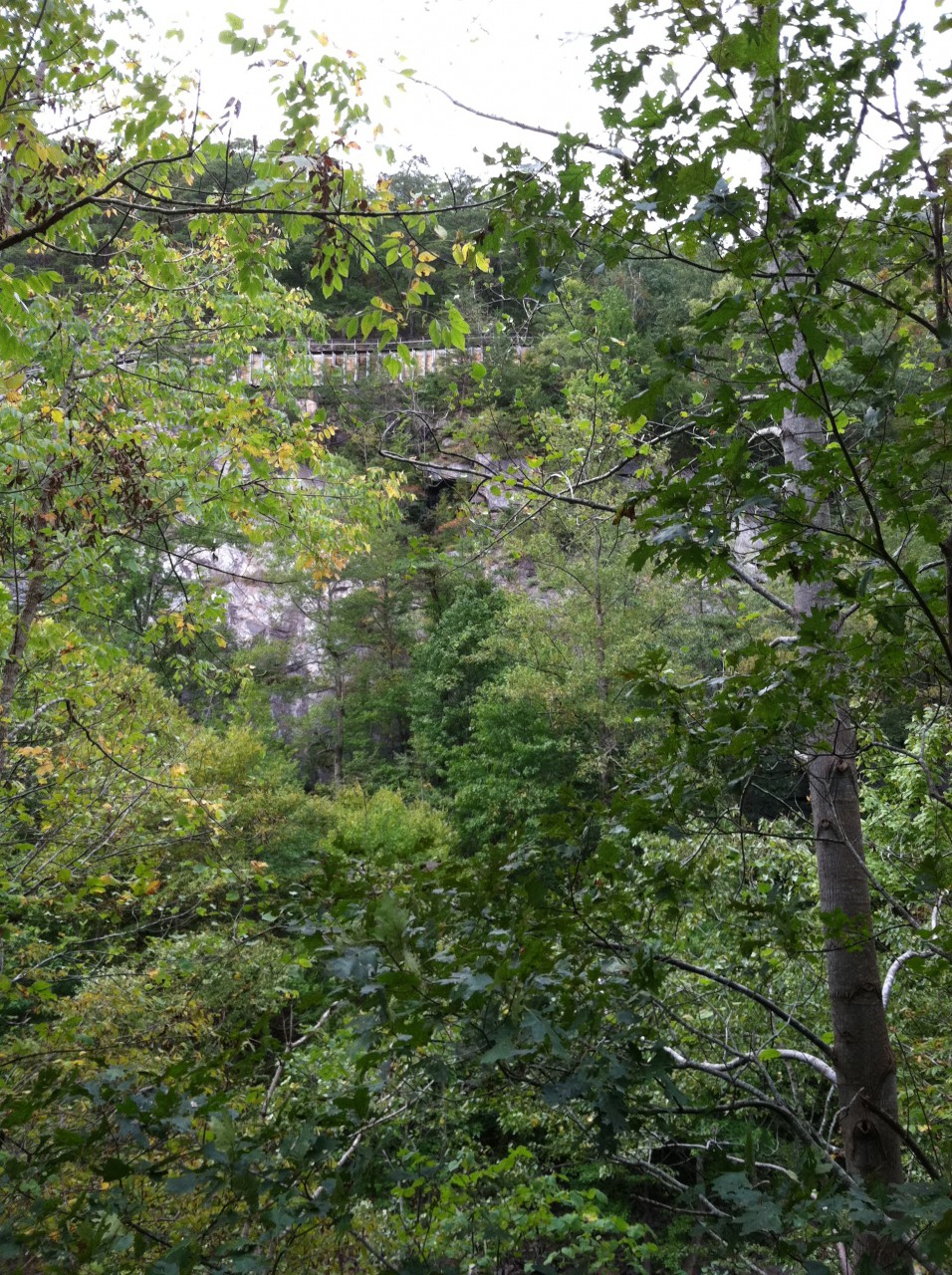 photo14.JPG