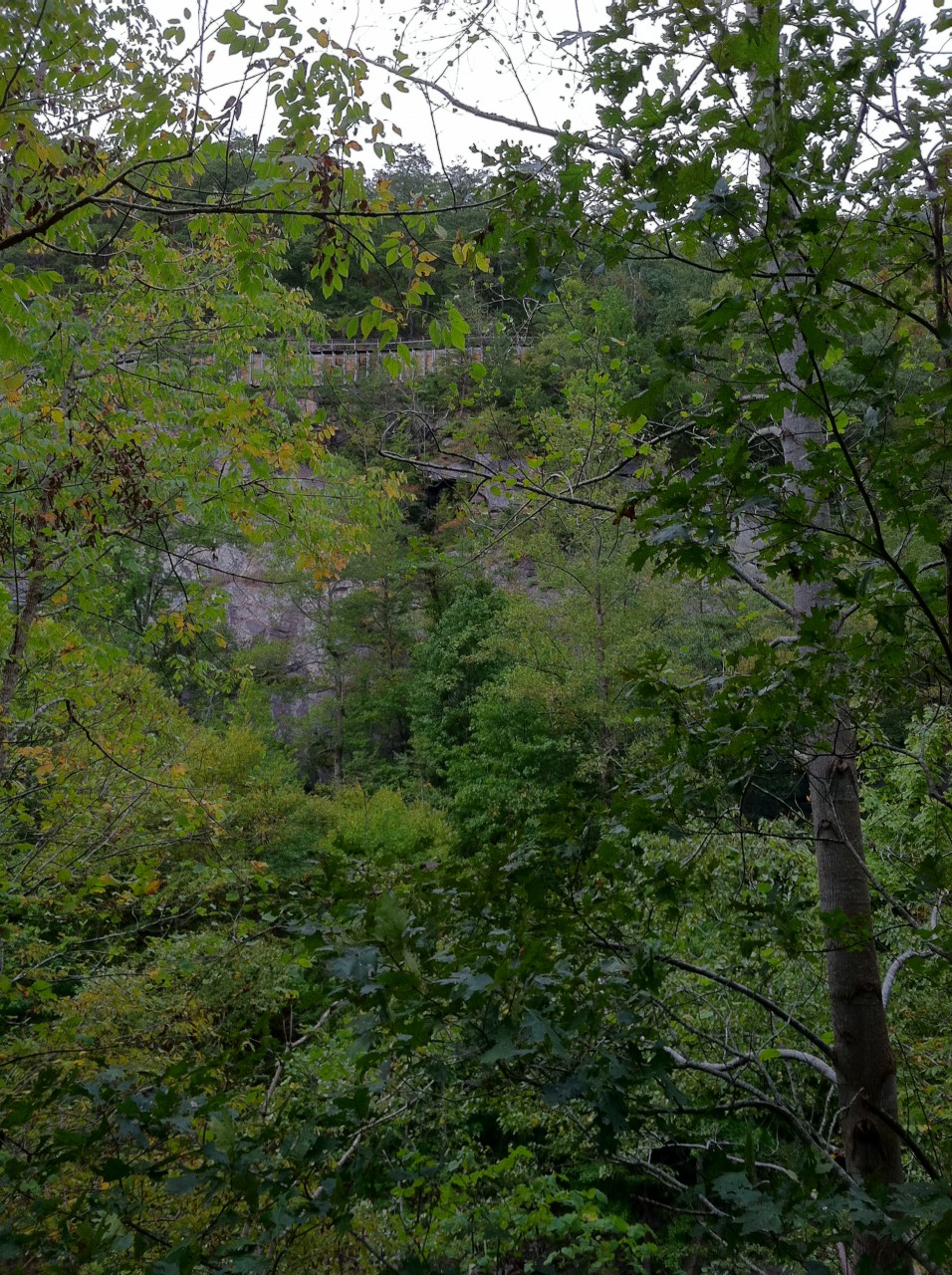 photo15.JPG