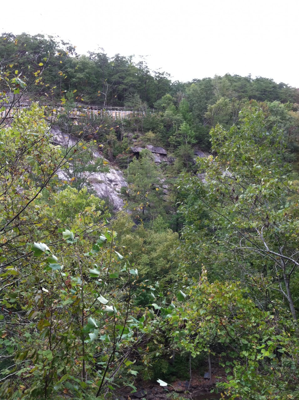 photo19.JPG
