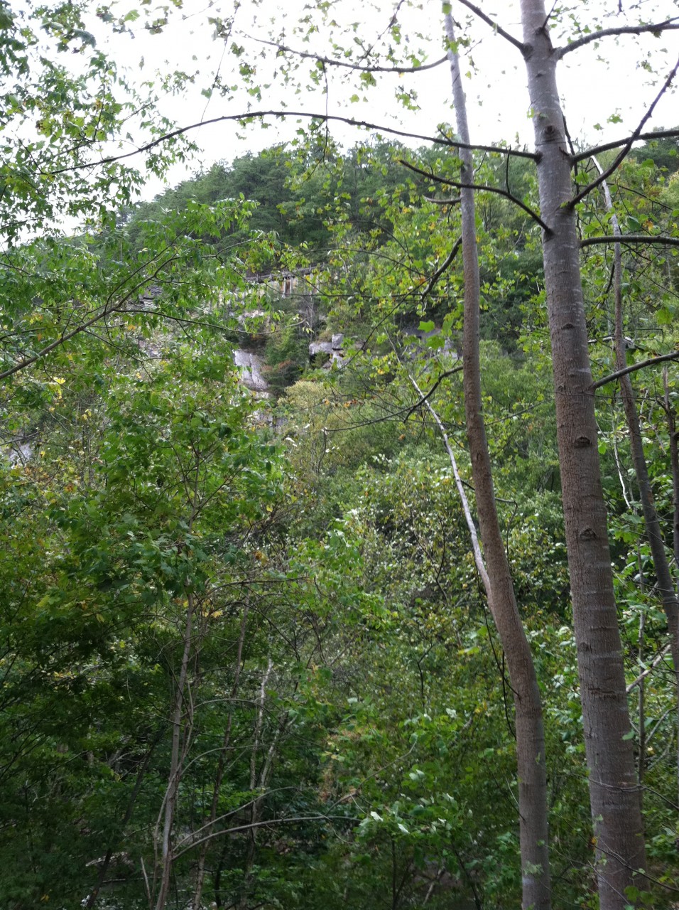 photo20.JPG