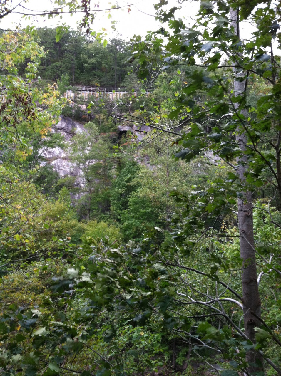 photo21.JPG