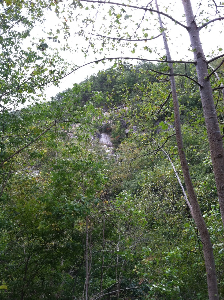 photo22.JPG