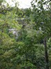 photo12.JPG