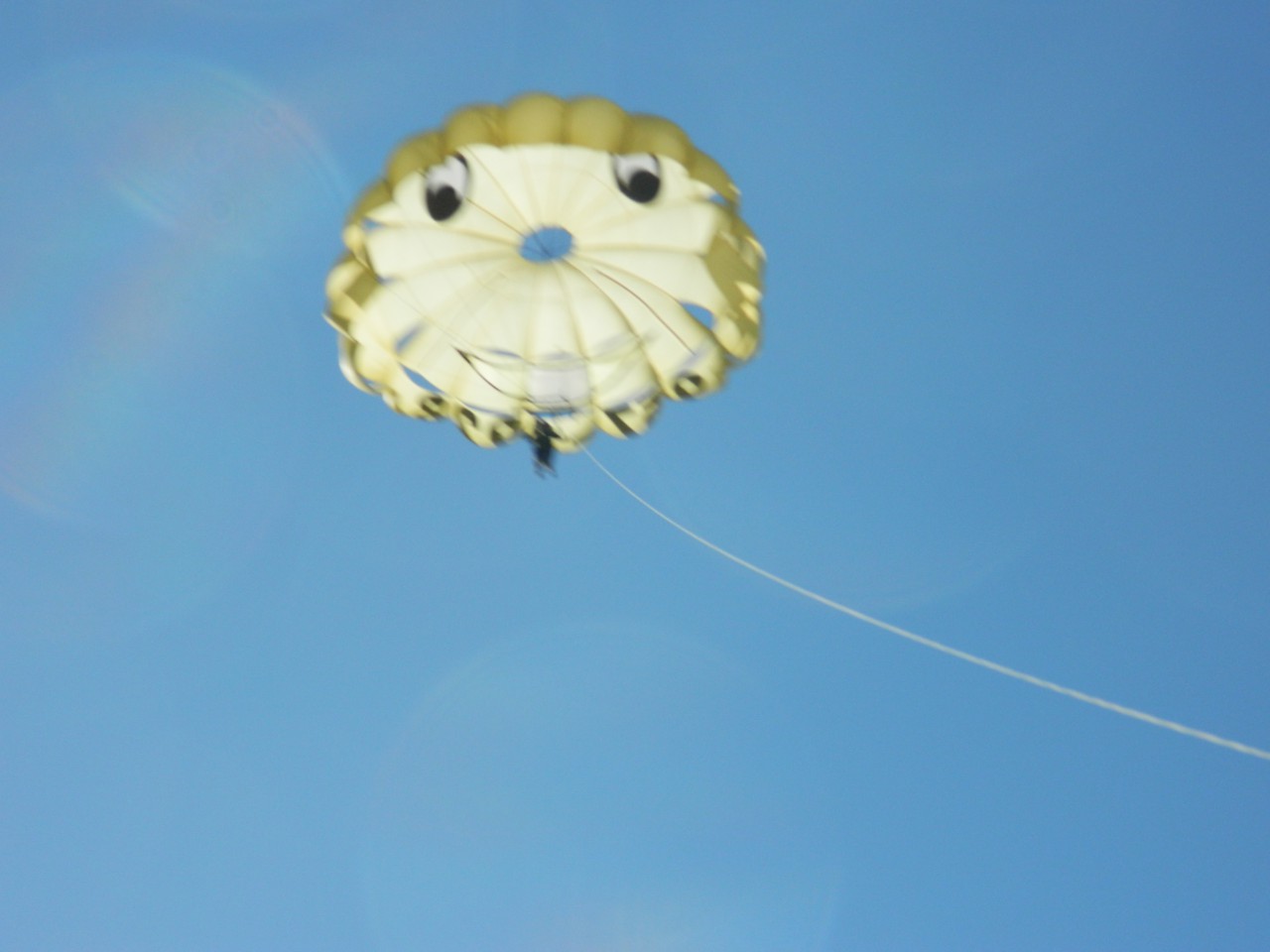 DSCN1118.JPG