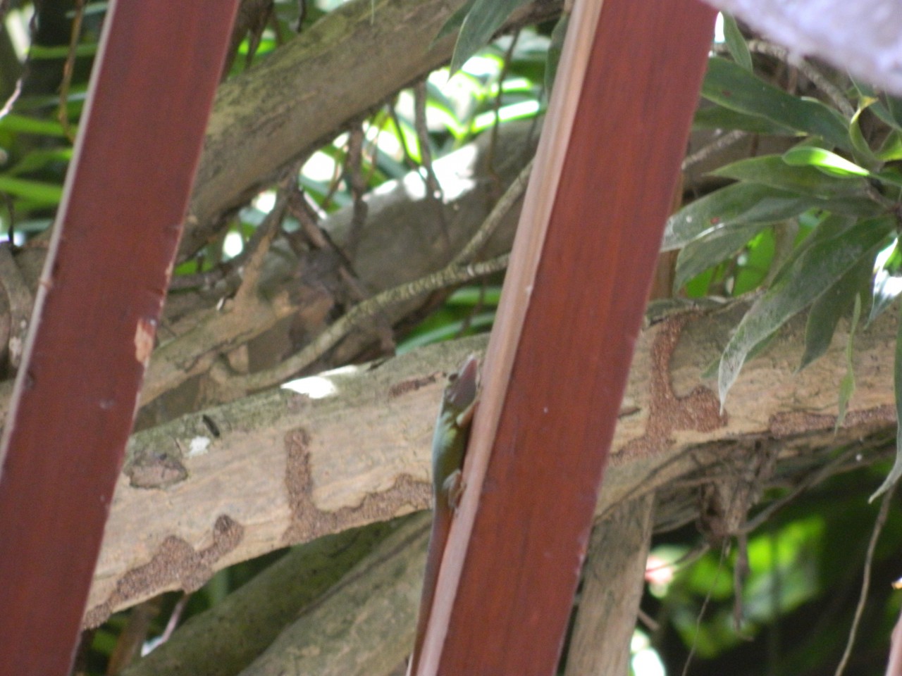 DSCN1196.JPG