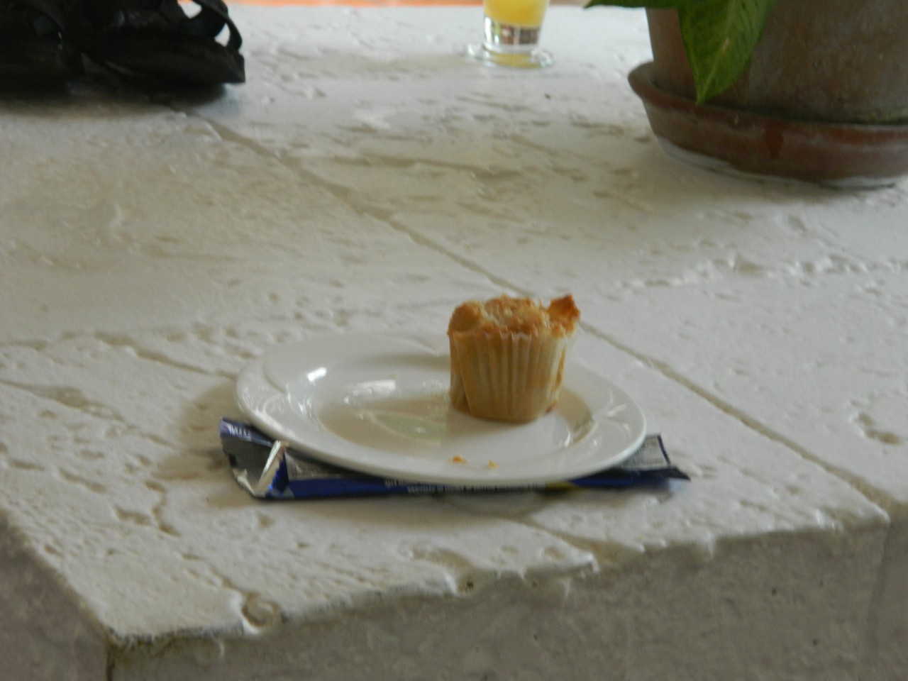 DSCN1198.JPG