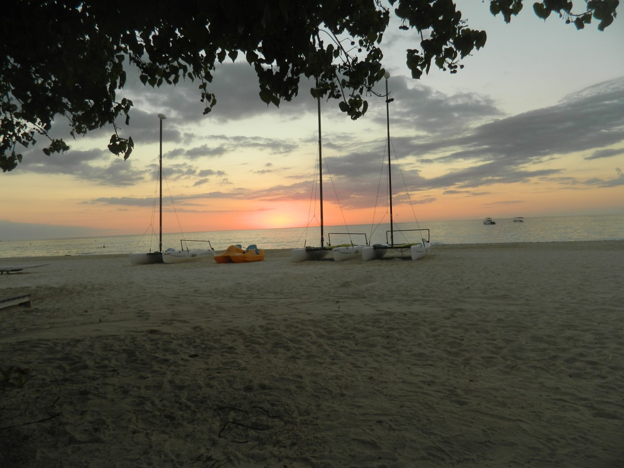 DSCN1200.JPG
