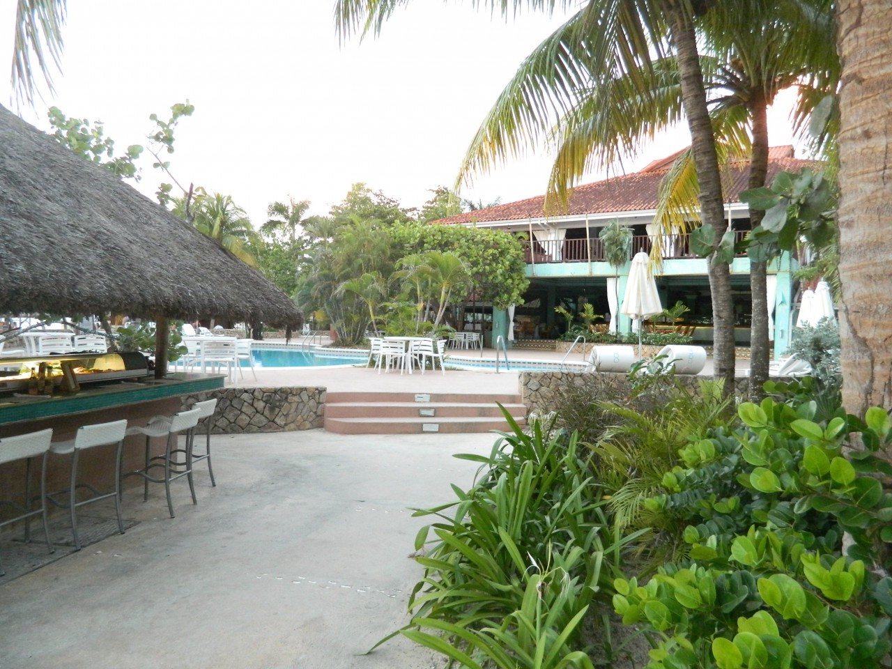 DSCN1202.JPG