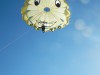 DSCN1126.JPG