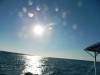 DSCN1142.jpg
