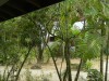 DSCN1189.JPG