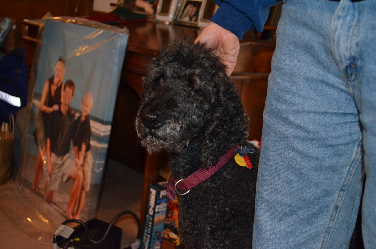 DSC_0015.JPG