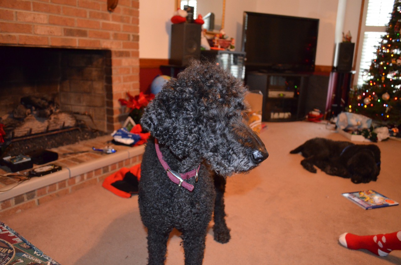 DSC_0061.JPG