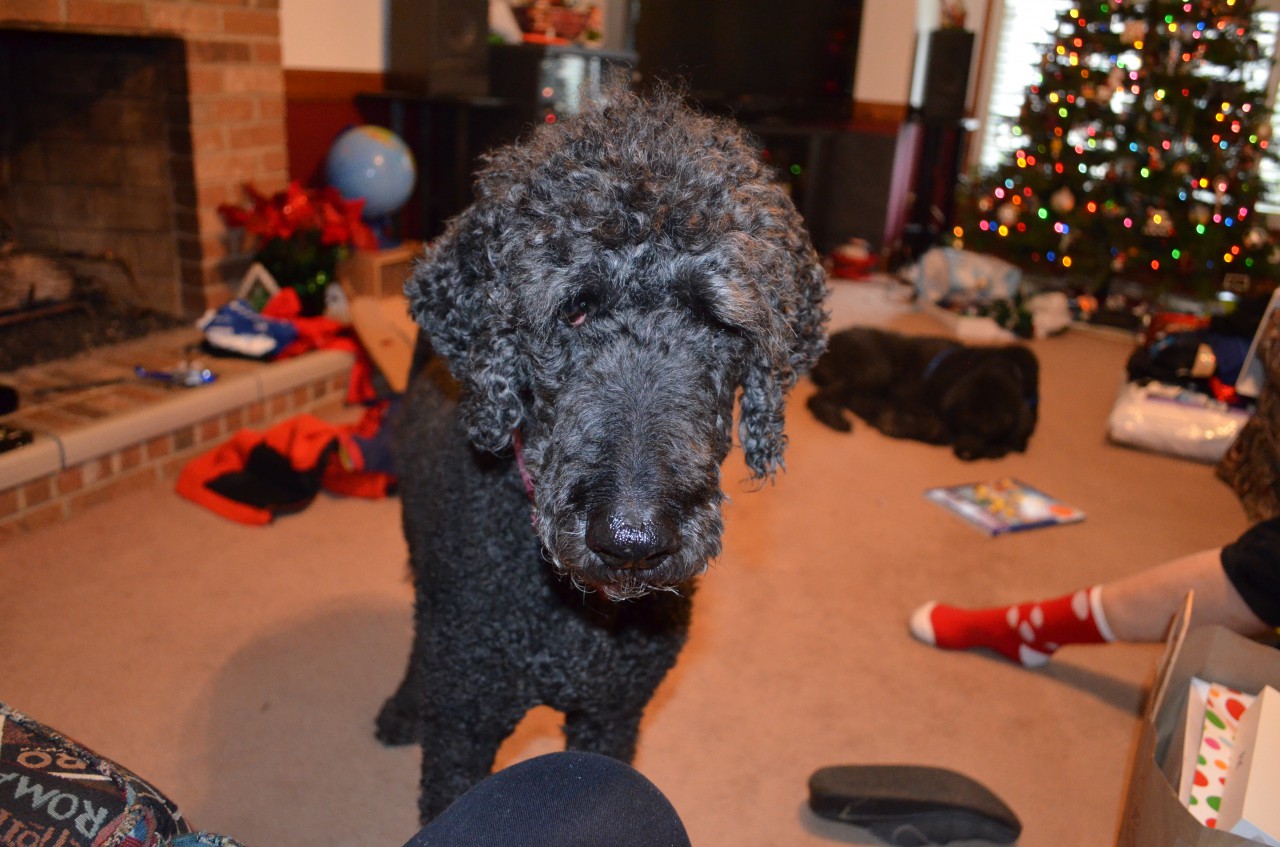 DSC_0062.JPG