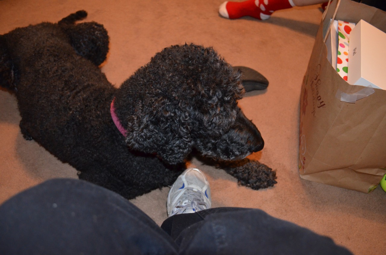 DSC_0068.JPG