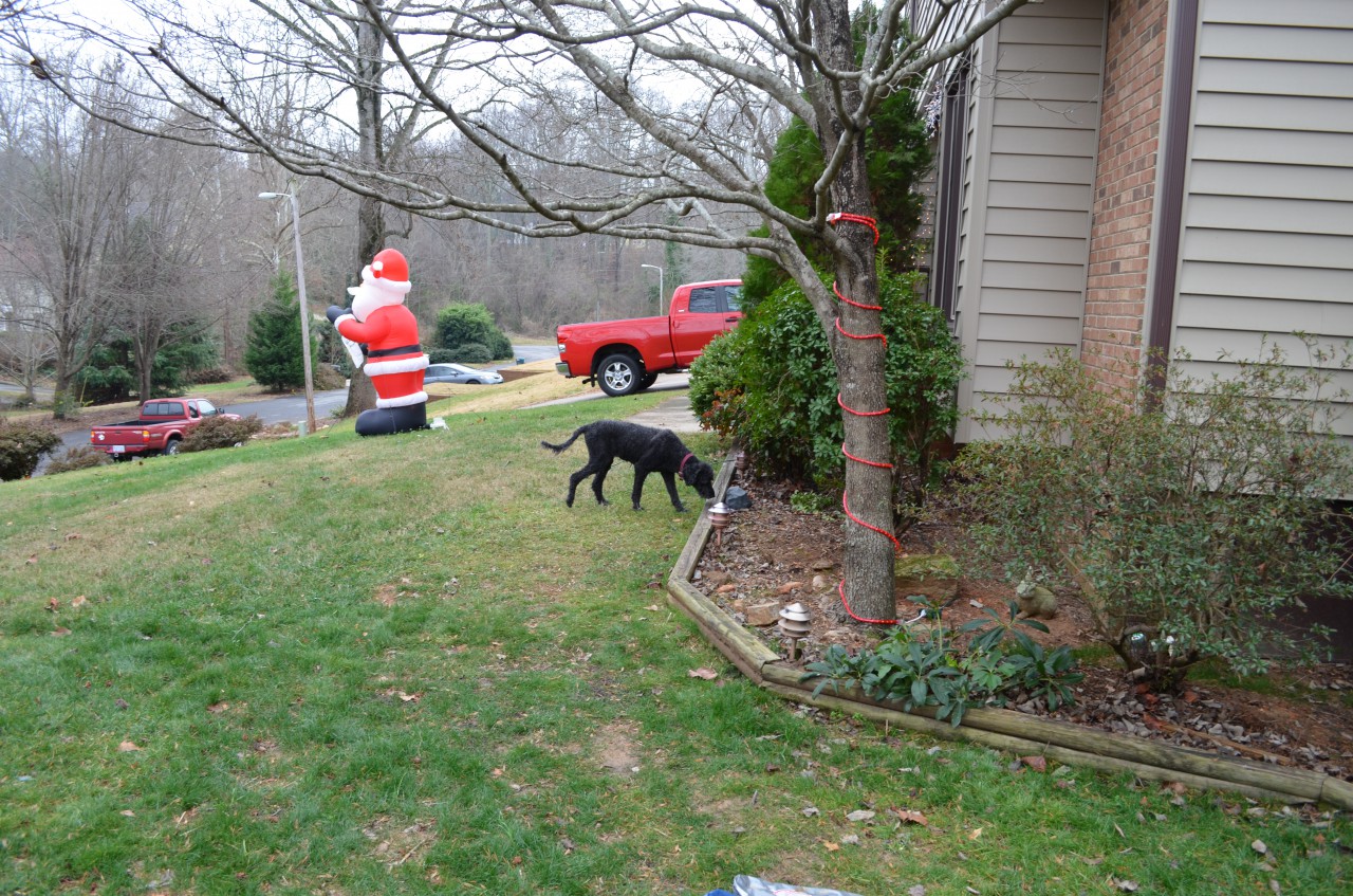 DSC_0071.JPG