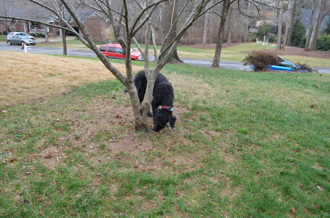 DSC_0074.JPG