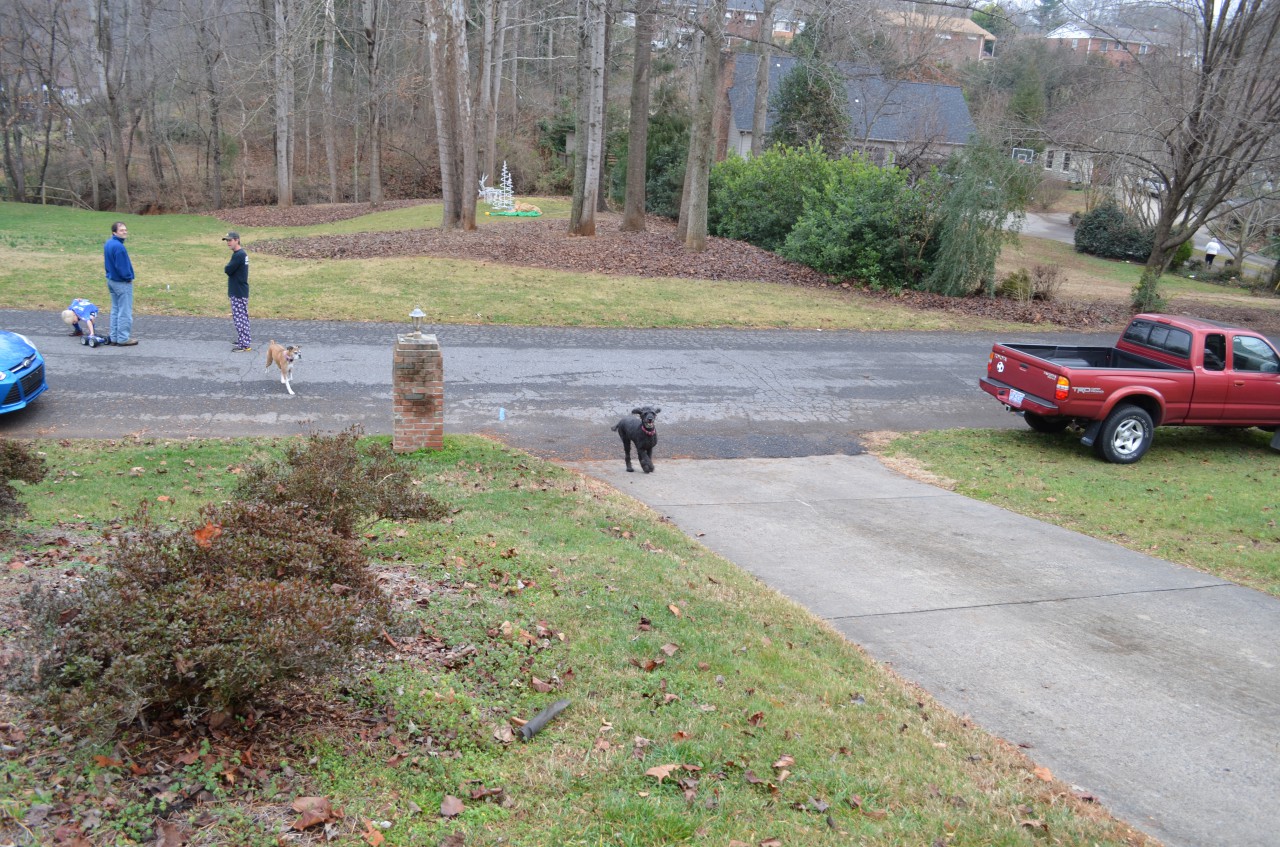 DSC_0084.JPG