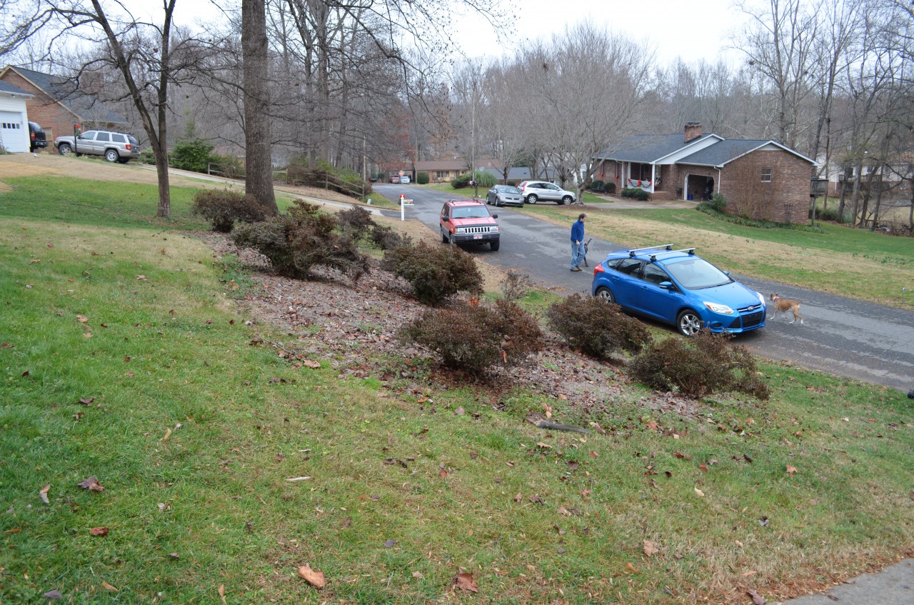 DSC_0095.JPG